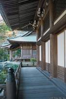 Daiyūzan Saijōji (大雄山最乗寺), Hondō (本堂)